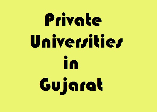 best private universities in gujarat