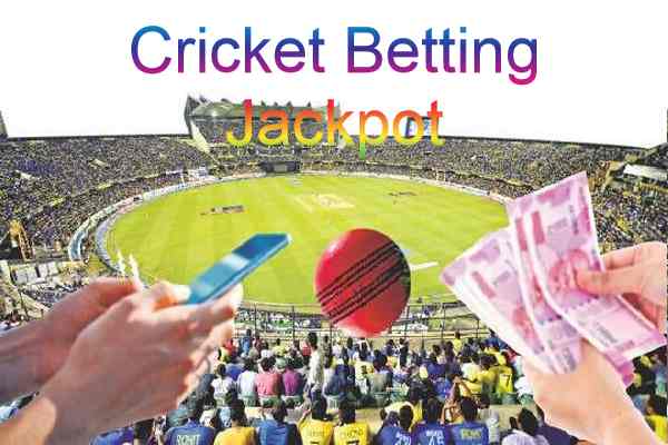 cricket betting jackpot