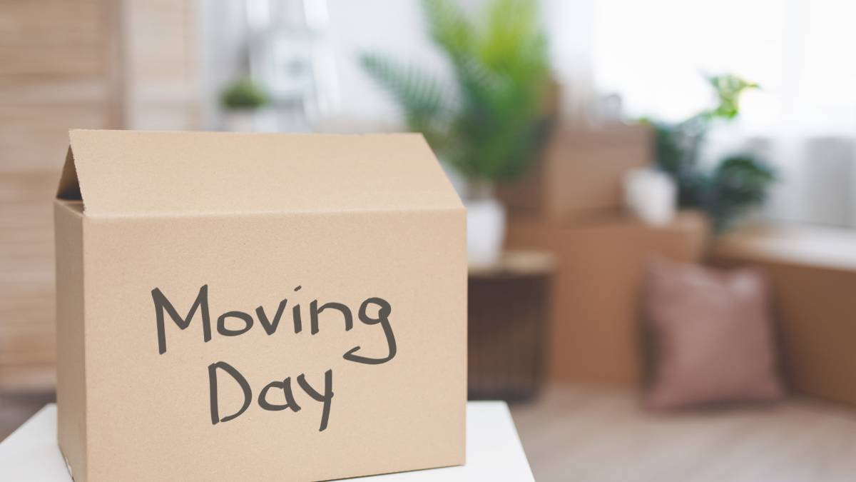 Get Prepped for Moving Day