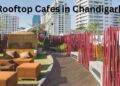Rooftop Cafes in Chandigarh