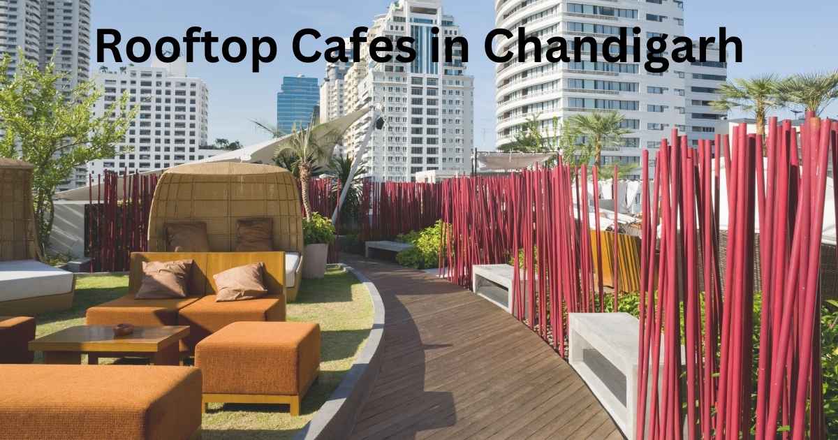 Top 9 Rooftop Cafes in Chandigarh: A Complete Guide to Ambiance, Food, and Views